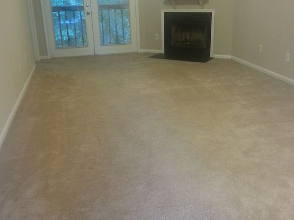 Wood burning fireplace / livingroom