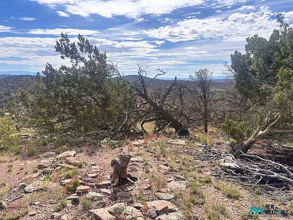 3rd image of 34 Lookout Cir #67