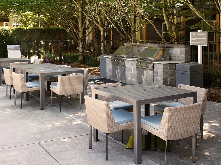Sundeck with BBQ grills and picnic areas