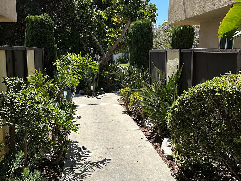 3520 Mentone Ave #5 — Photo 13