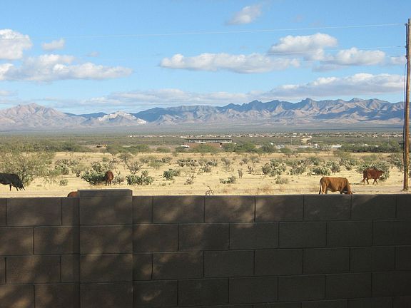 View from BackyardMore cows on state land.  Nice view huh?