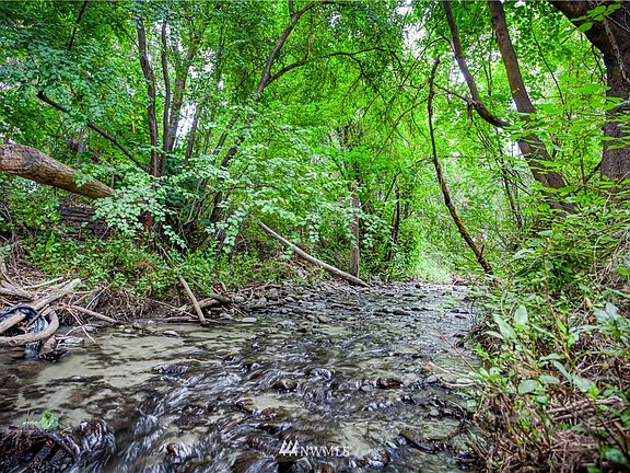 Mission Creek on Property