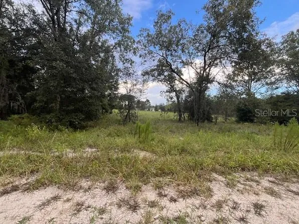 SE 71st Ln Lot 8, Morriston, FL 32668