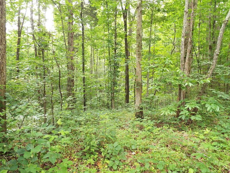 2nd image of Catoosa Ridge Rd