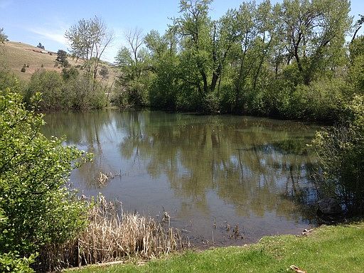 5th image of 12951 Us Highway 93 N Unit 5