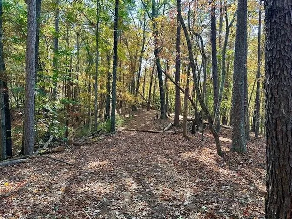 160 Hope Dr #6, Dawsonville, GA 30534