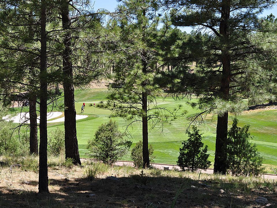 1st image of 3160 S Solitaires Canyon Dr