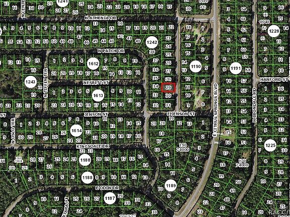 3rd image of 1288 E Toledo Dr
