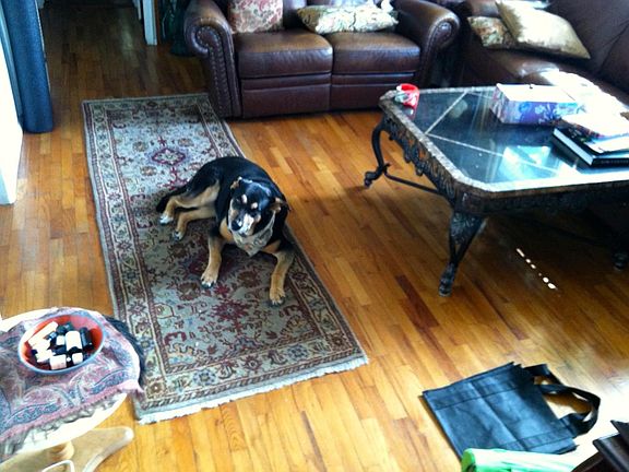 Hardwood floors