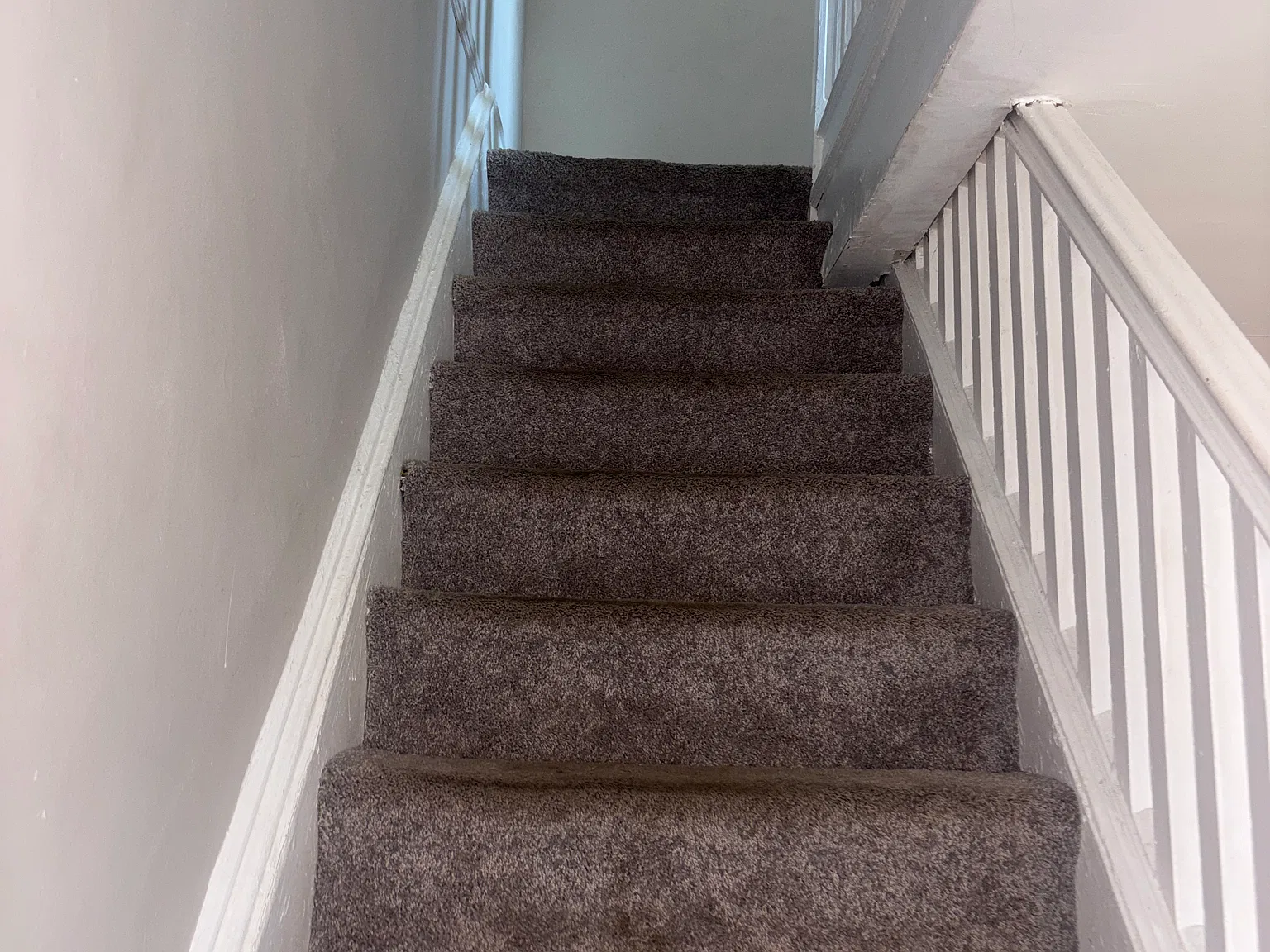 2 bed, 1000 sqft, $1,600 — Photo 3