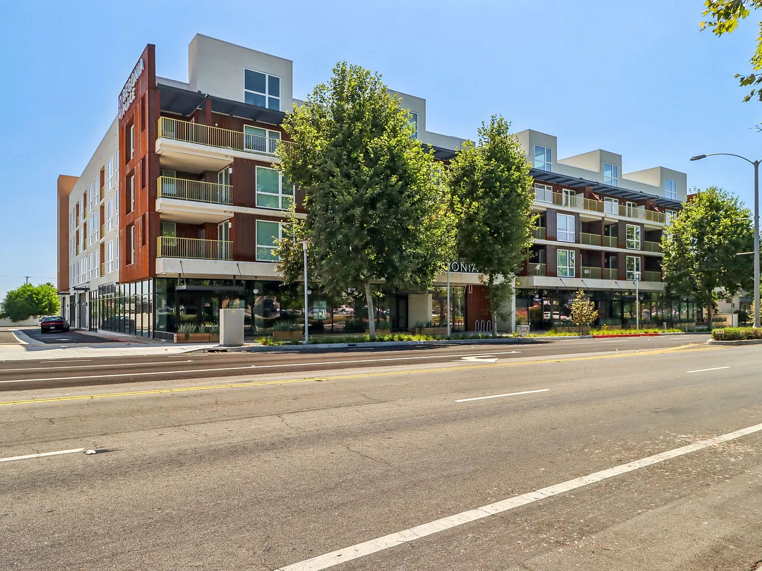 Begonia Place Luxury Apartments — Photo 3