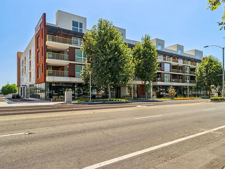 Begonia Place Luxury Apartments — Photo 3