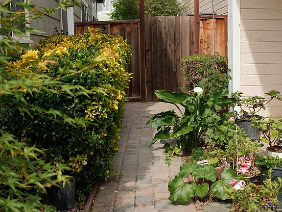 Side path to backyard
