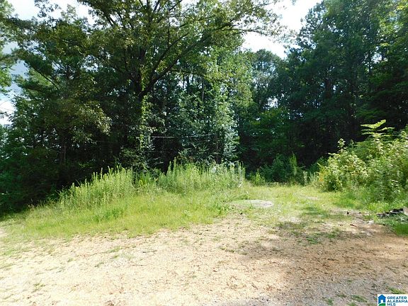 3rd image of 10566 State Highway 23 #2
