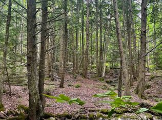 28 Upper Notch Rd, Bristol, VT 05443