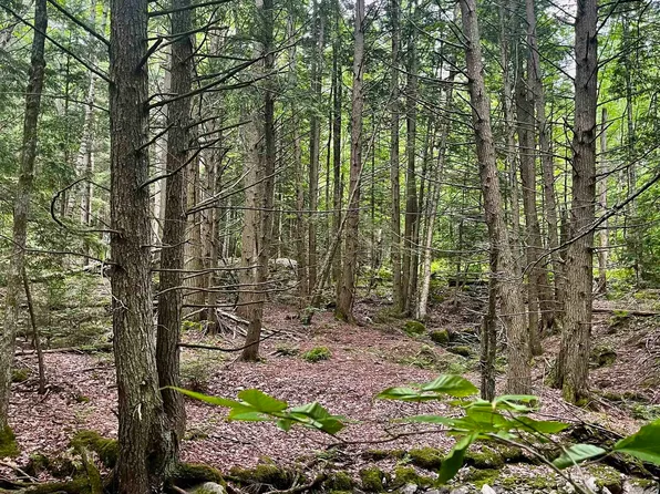 28 Upper Notch Road, Bristol, VT 05443