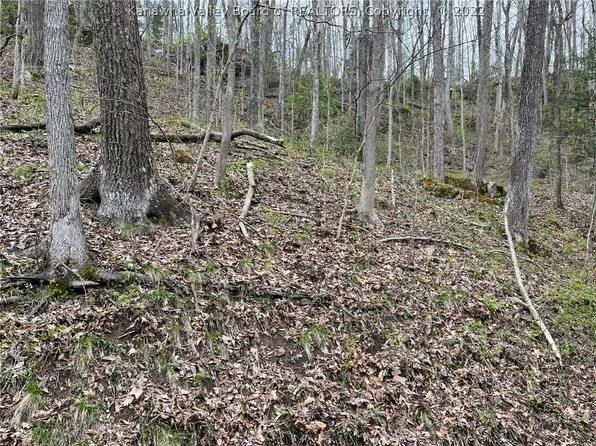 0 Woodvale Dr, Charleston, WV 25314