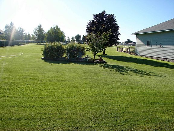 Back yard