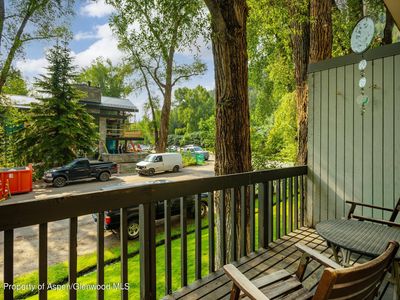 700 W Hopkins Ave #3, Aspen, CO, 81611