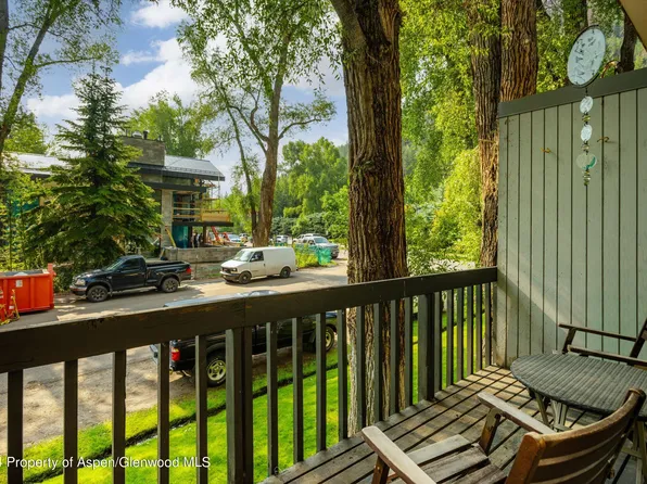 700 W Hopkins Ave #3, Aspen, CO 81611