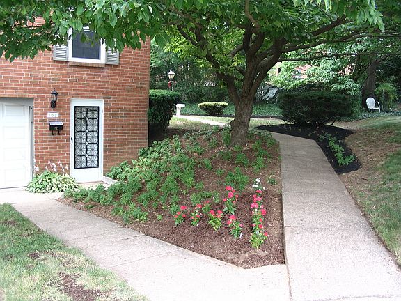 bright, shady, landscaped