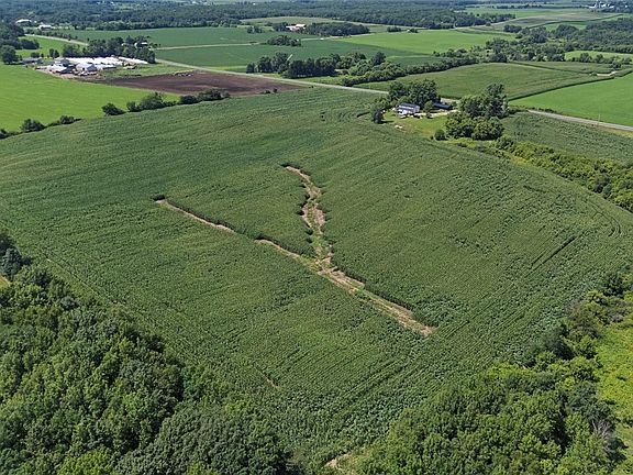 5th image of 37 Acres County Rd E
