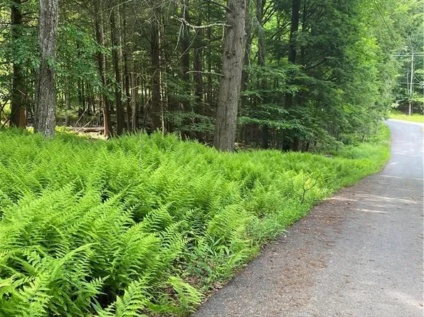 Glenwood Drive, Bethel, NY 12720