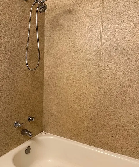 Bathroom - tub and shower with adjustable shower head