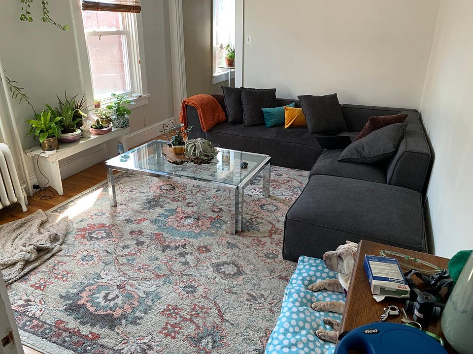 Living room - Lots of sunlight! Hardwood floors under this large area rug