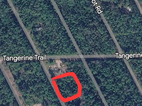 304 & 306 HAWKSNEST Road, Satsuma, FL 32189