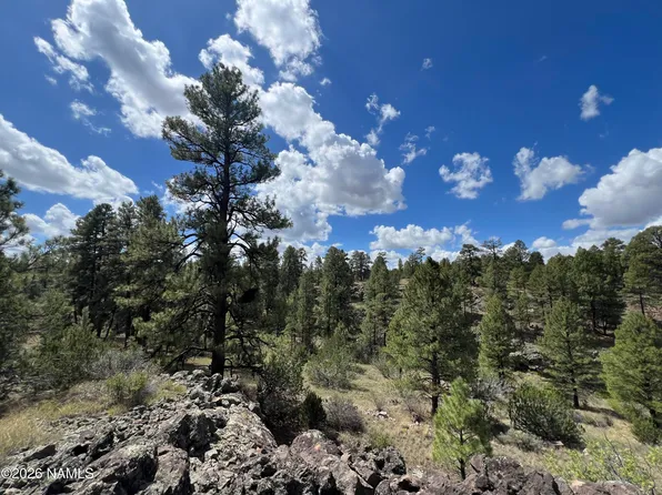 5036 N Cataract Dr, Williams, AZ 86046