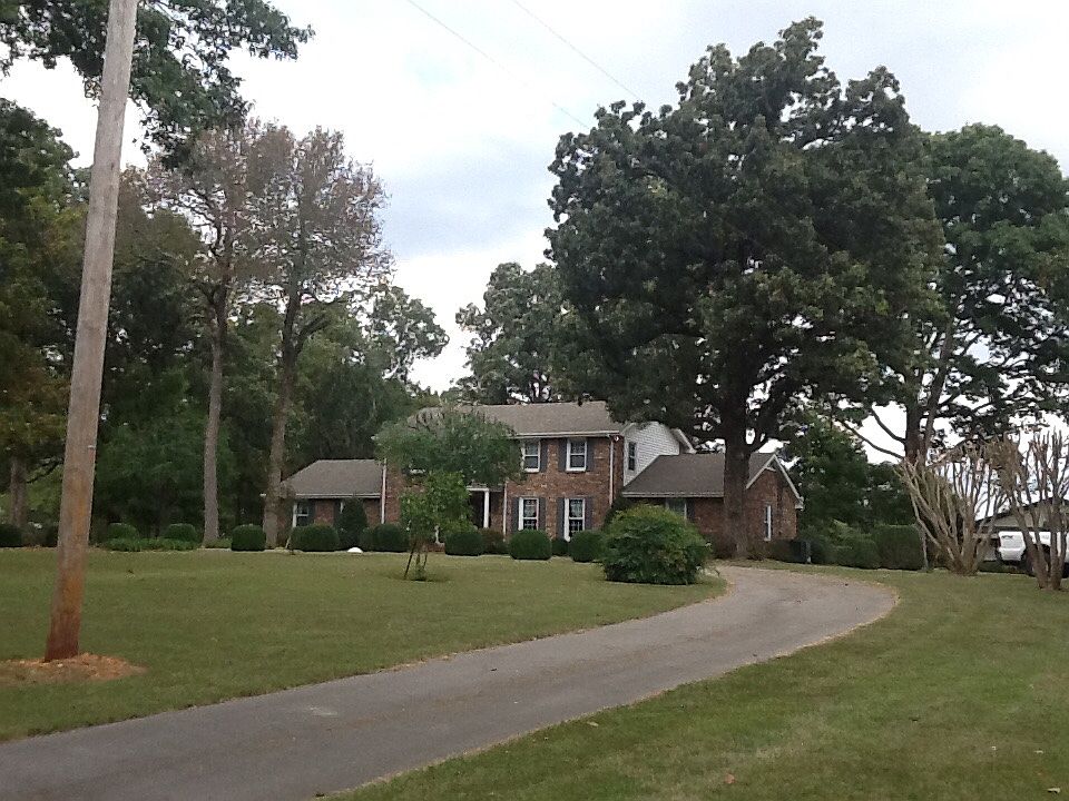 Mature trees front drive