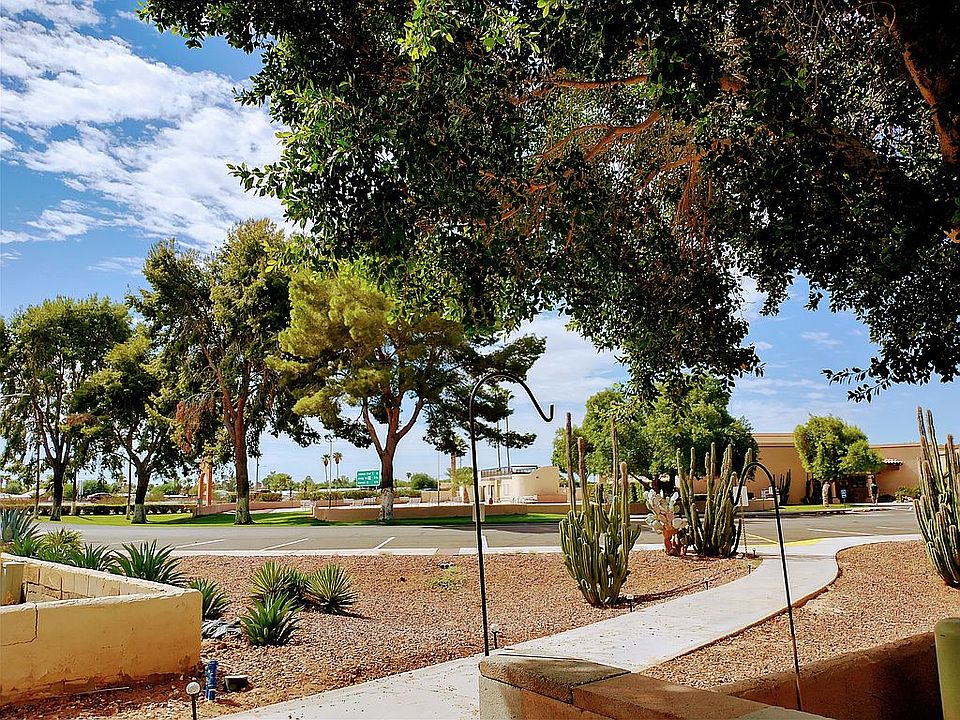 View from back patio