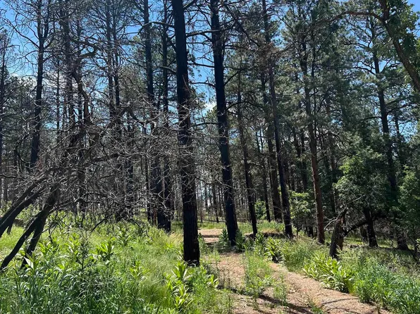 29 Don Jose Dr, Rociada, NM 87742