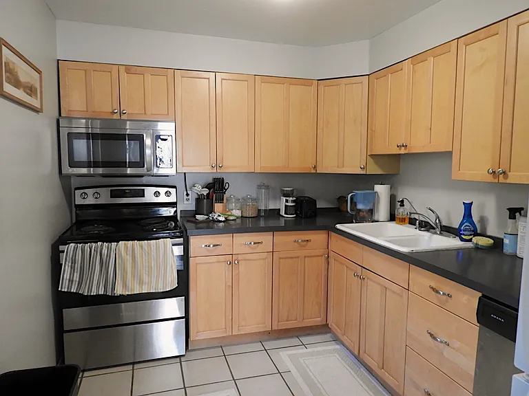 9847 Portage Lake Ave — Photo 11