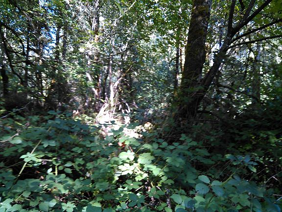5th image of Xxx Knutsen Lane