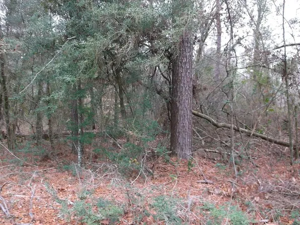 Mount Olive Rd, Tylertown, MS 39667