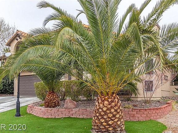 Front yard of the house