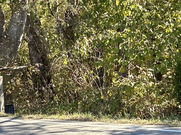 4th image of 0 Highway 231