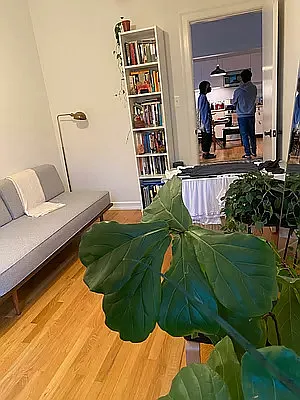 Rented by Nooklyn NYC LLC | media 10
