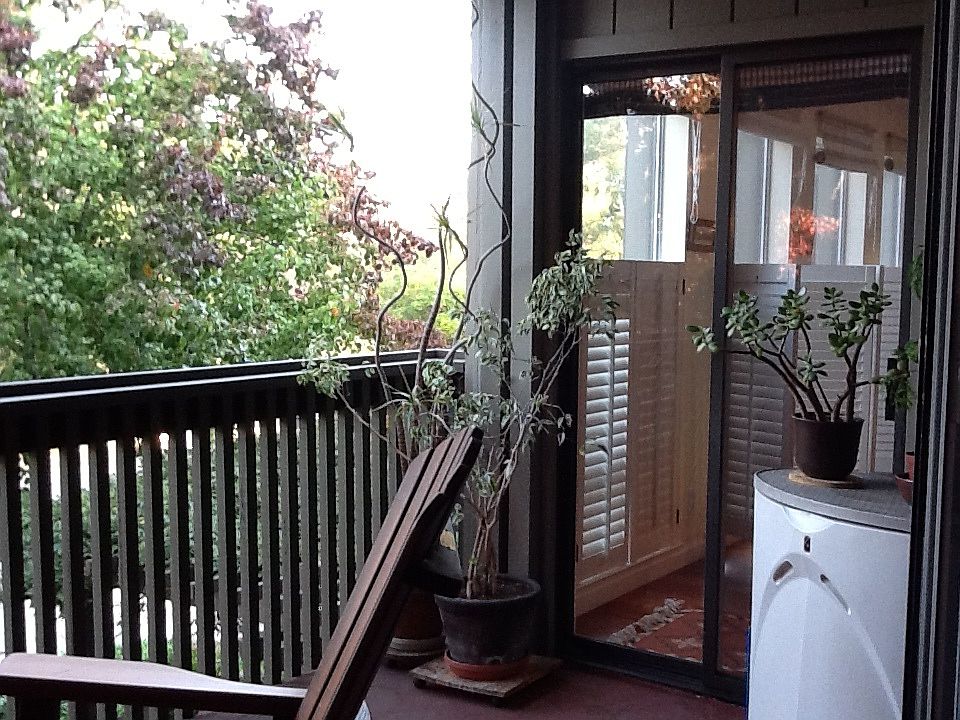 1st image of 320 Palo Alto Ave APT C2