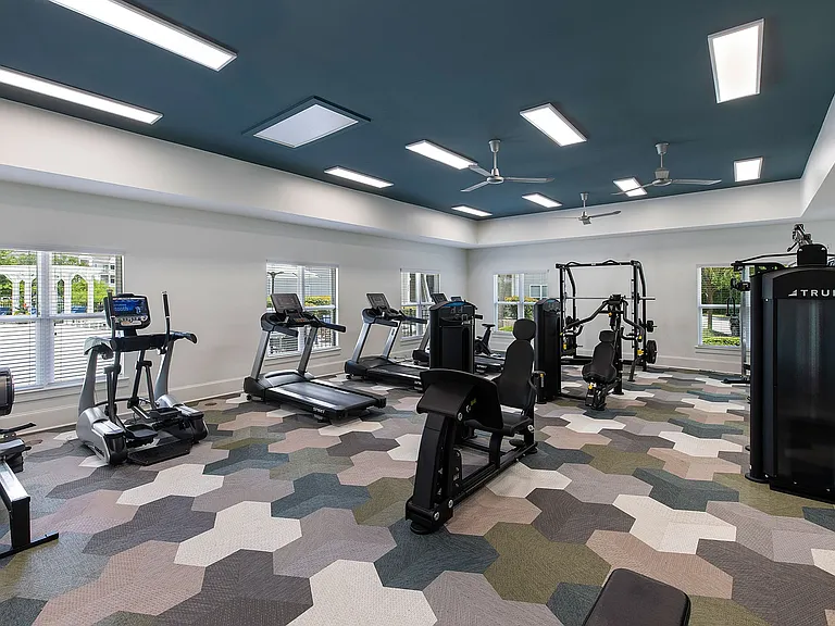 The Apartments at Shade Tree