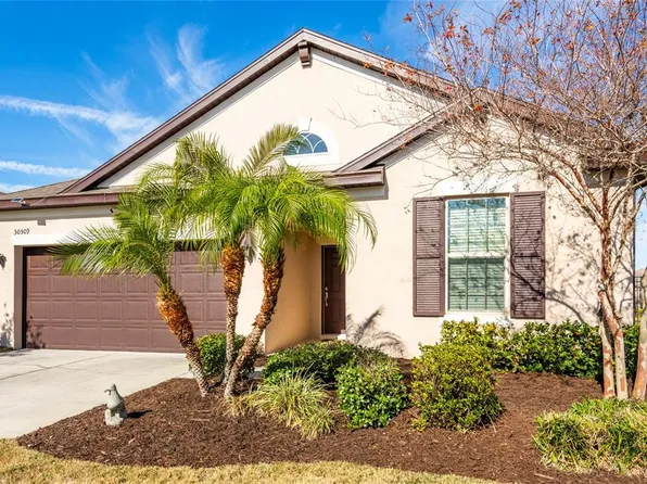 30509 PECAN VALLEY LOOP, WESLEY CHAPEL, FL 33543