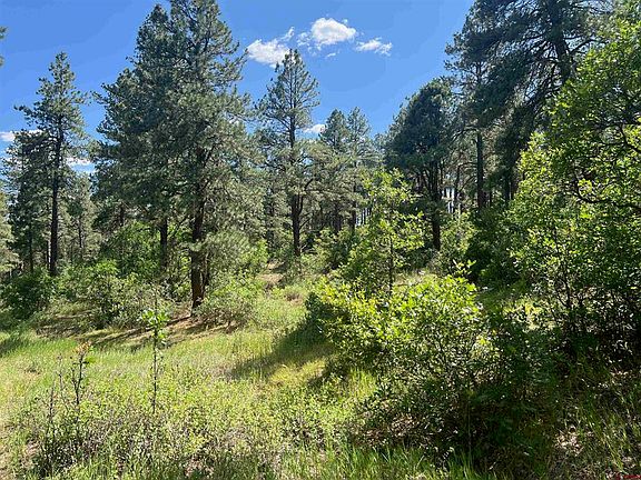 5th image of TBD County Road 400