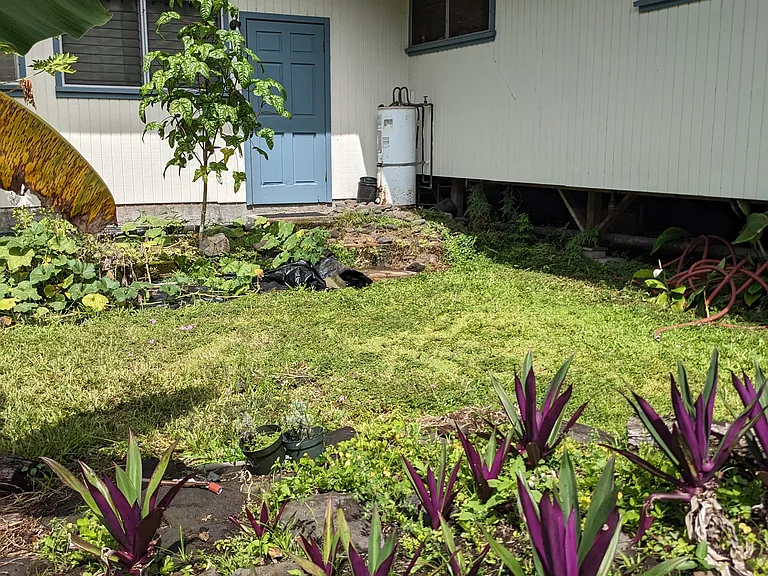 811 Waianuenue Ave — Photo 8