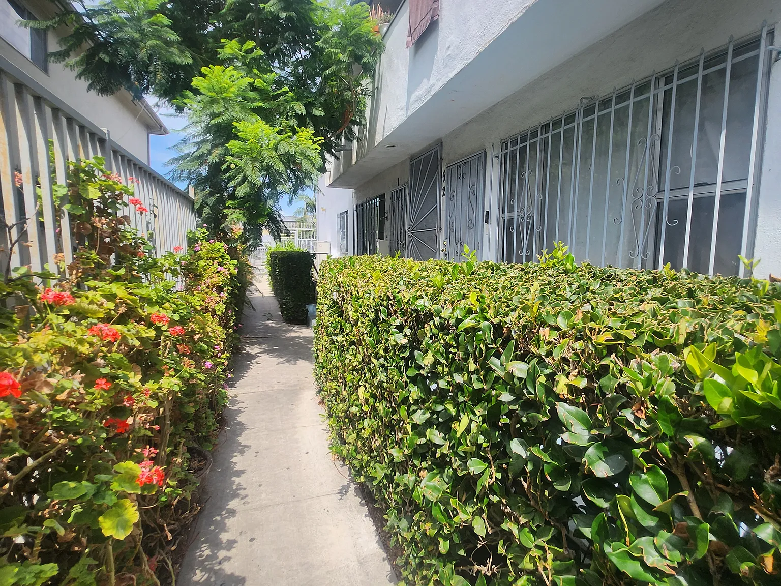 Studio, 600 sqft, $1,795 — Photo 2