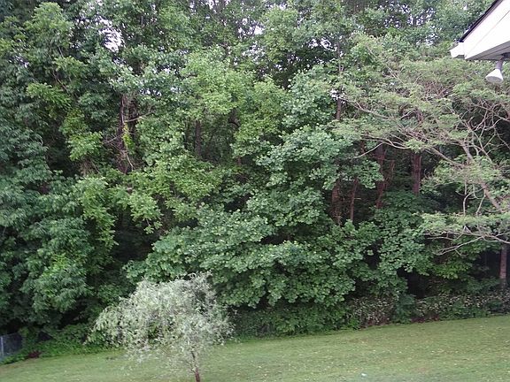 3rd image of 114 Hop Anderson Ln