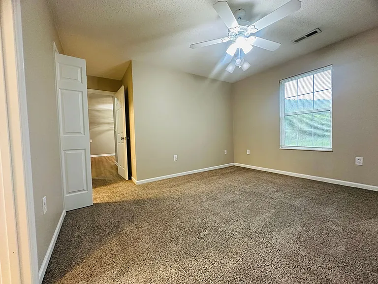 253 Dumplin Ln — Photo 18