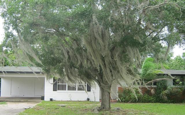 Front view