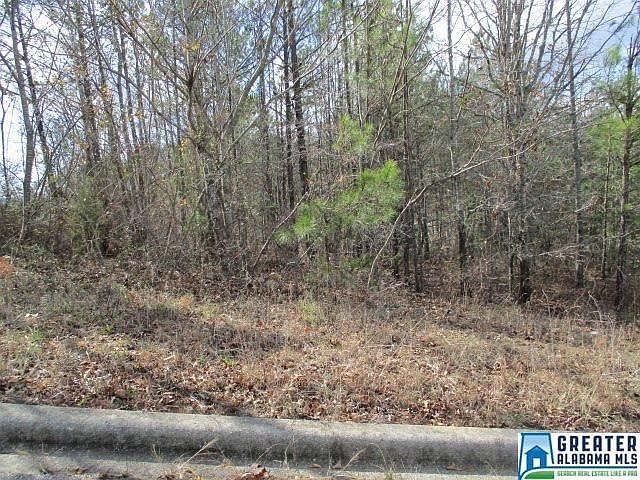 2nd image of 205 Valley View Ln